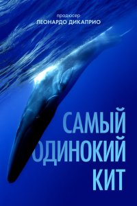  Самый одинокий кит на планете: в поисках Пятидесятидвухгерцового кита (2021) 