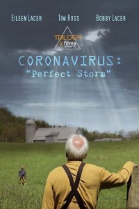  Коронавирус: Идеальный шторм (2020) 