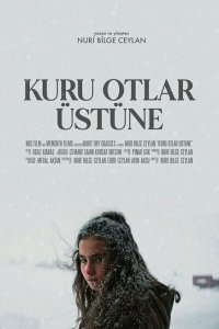О сухой траве (2023)