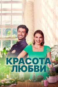  Красота любви (2021) 